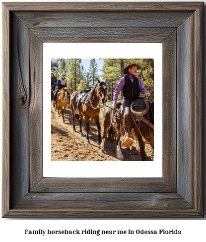 family horseback riding near me in Odessa, Florida